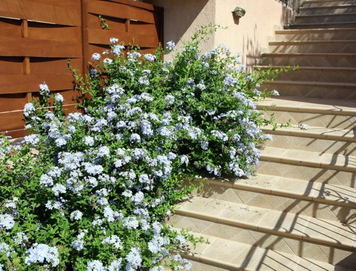 Provenzo And Meliti Villas Лурдата Екстериор снимка